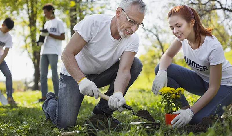 Nonprofit landscaping